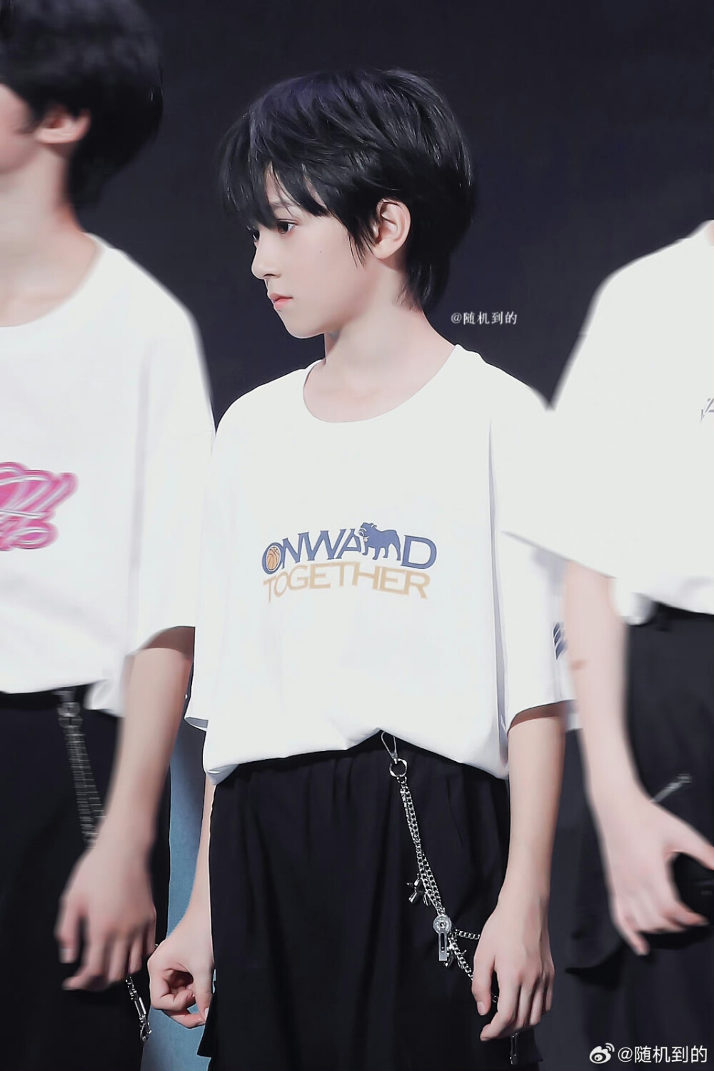 TF家族_智恩涵（@随机到的）