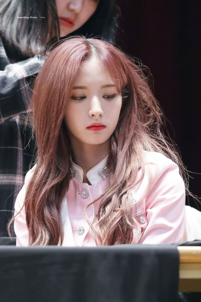 SD _ BONA