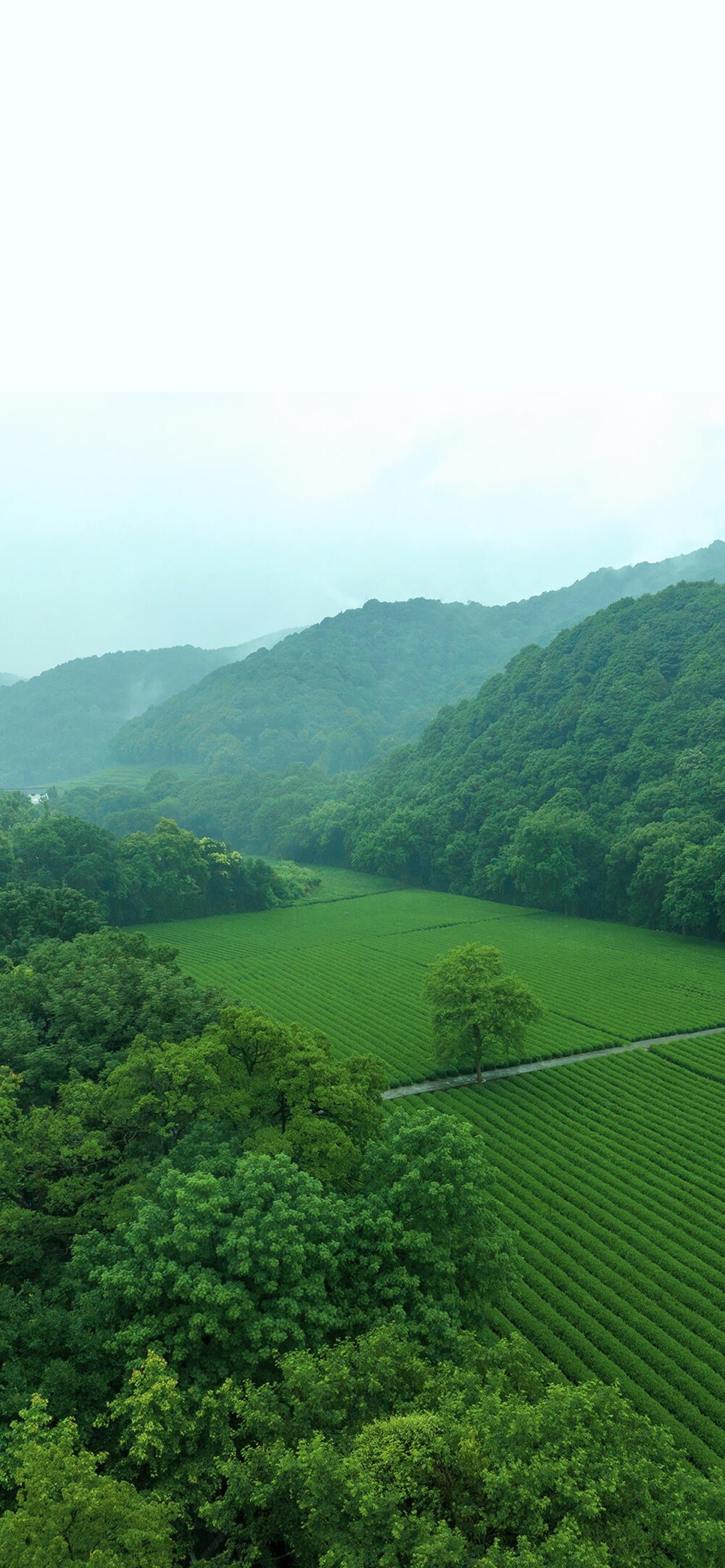 风景