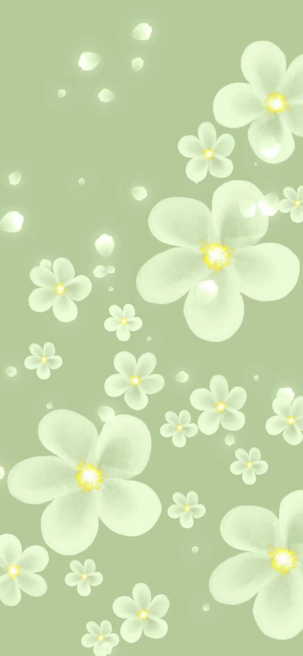 清爽壁纸 绿色系列