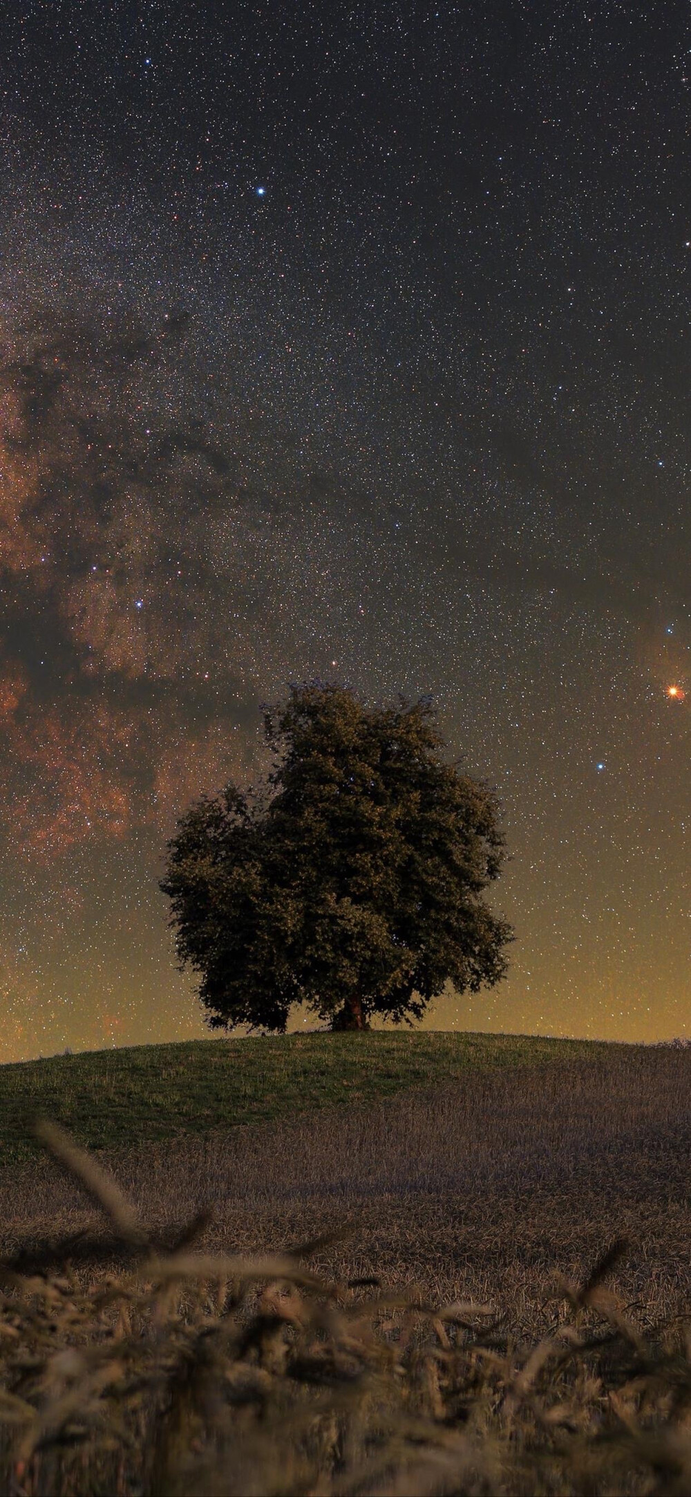 风景