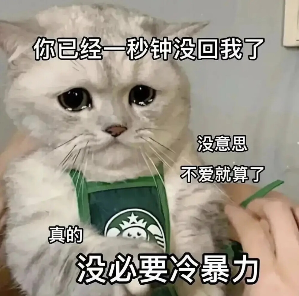 meme - 高清图片，堆糖，美图壁纸兴趣社区