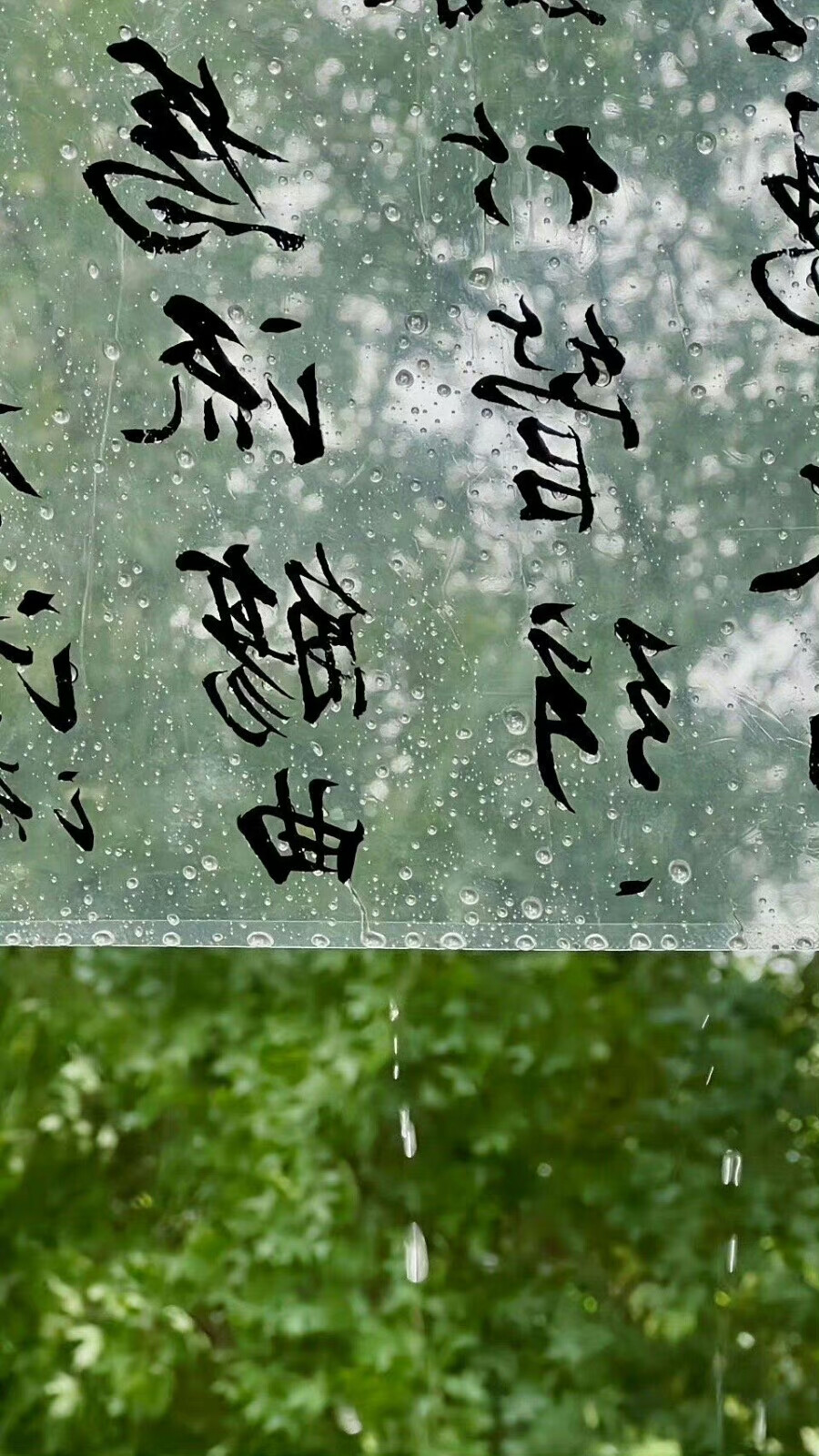 清爽壁纸