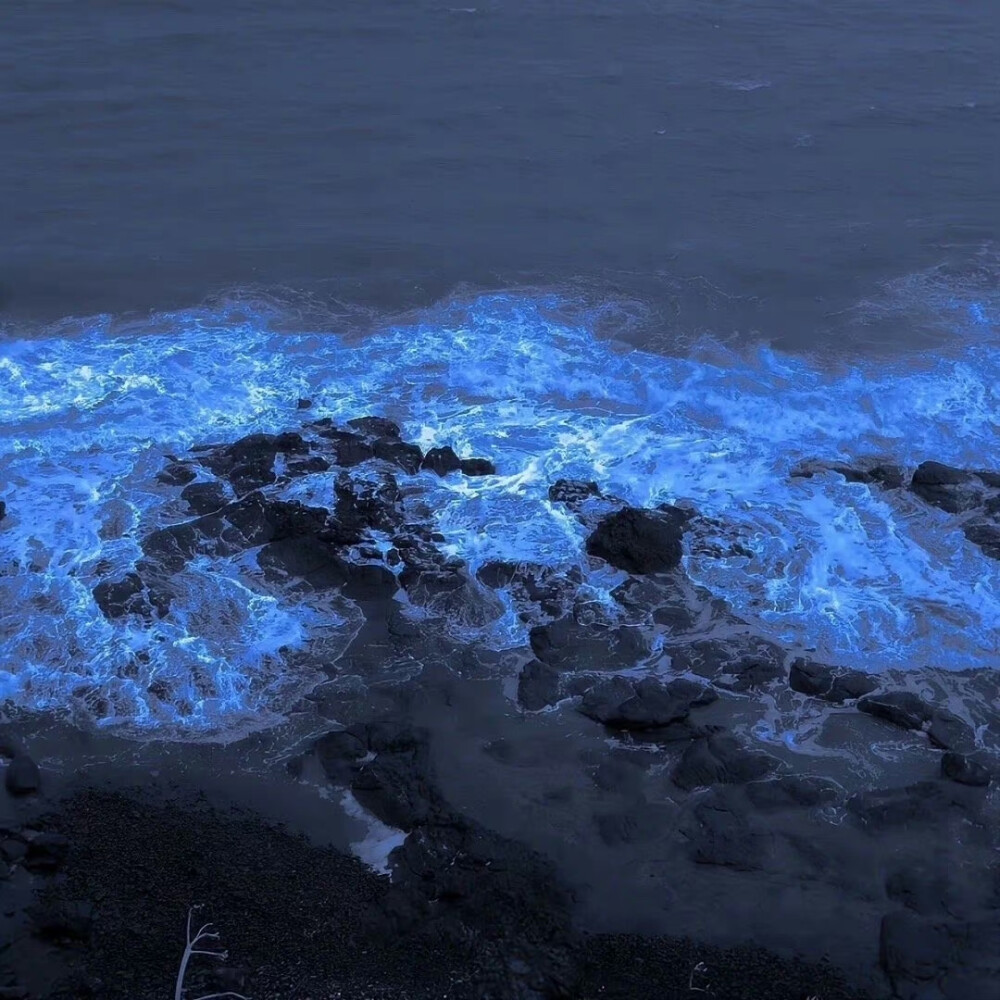 手串
壁纸
街景
头像
背景
美图
漫头
情头
专辑封面
AI风景动漫风景