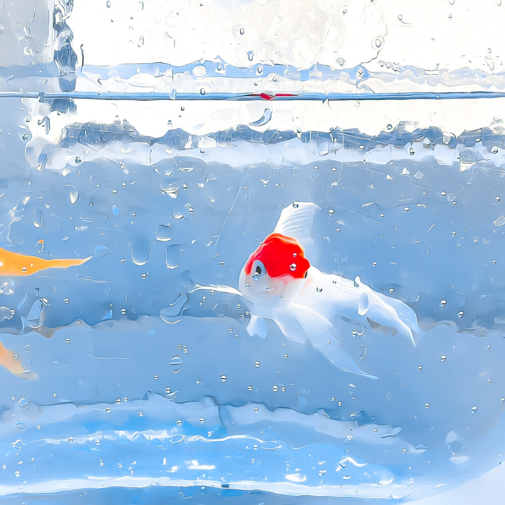 怪就怪天气 像曾哭过的旧电影₊⁺ ♡̴₊⁺ ₊⁺ ♡̴₊⁺ 