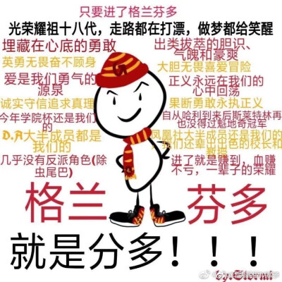 霍格沃茨格兰芬多背景