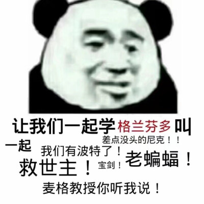 霍格沃茨格兰芬多背景