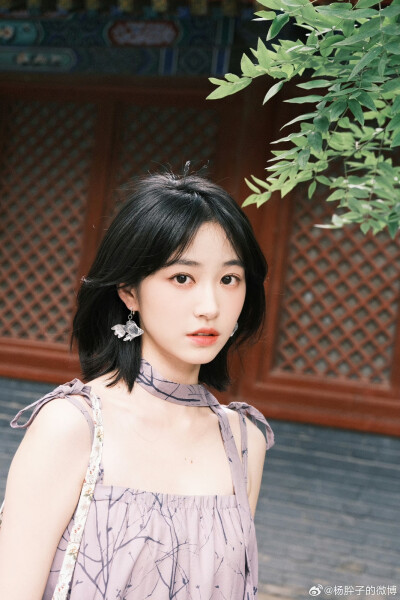 杨肸子