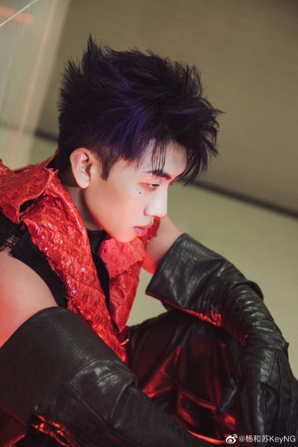 杨和苏 - 高清图片,堆糖,美图壁纸兴趣社区