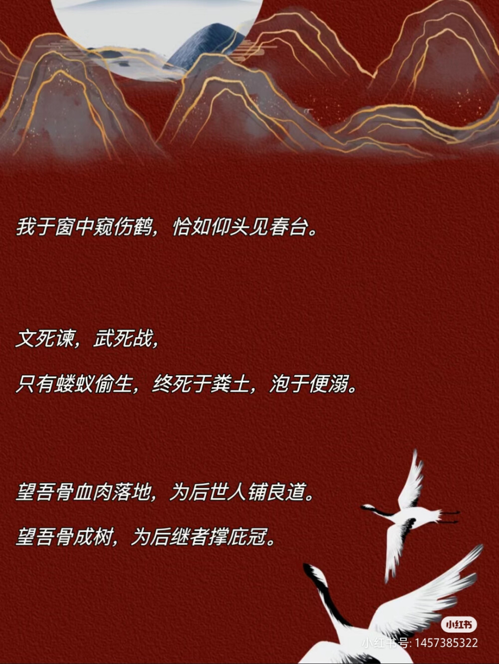 《东厂观察笔记》她与灯（著）