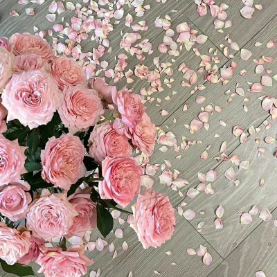 玫瑰花