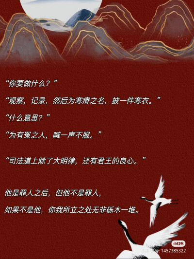 《东厂观察笔记》她与灯（著）