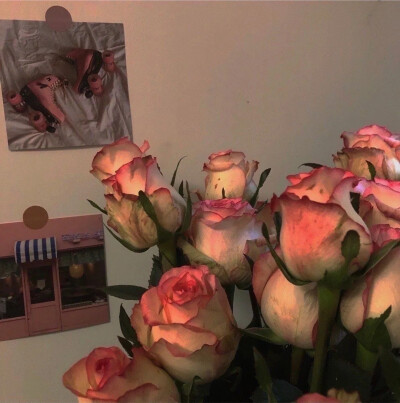 玫瑰花