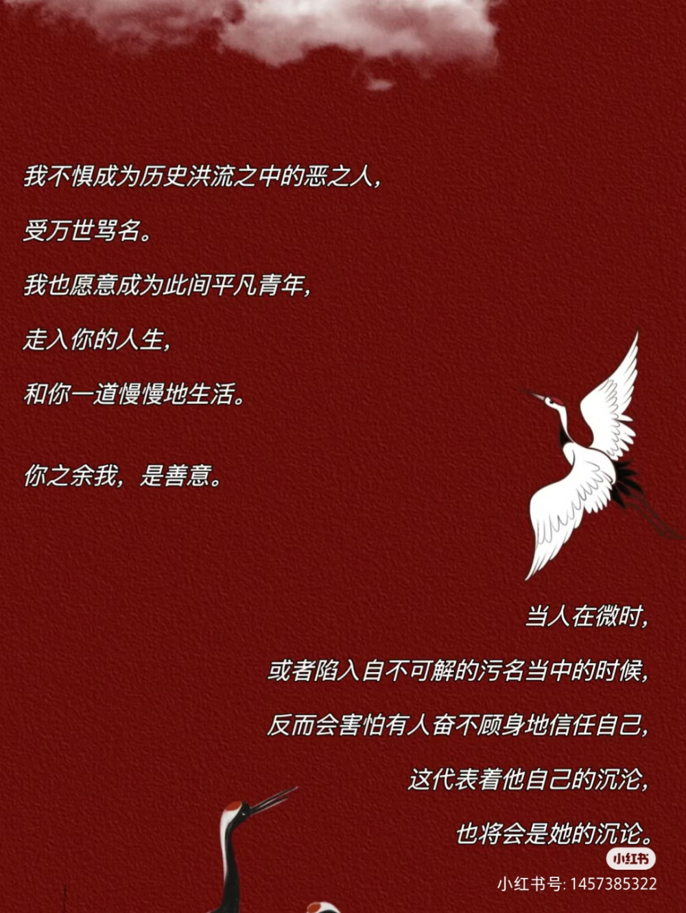 《东厂观察笔记》她与灯（著）