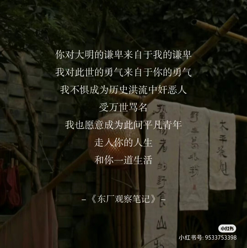 《东厂观察笔记》她与灯（著）