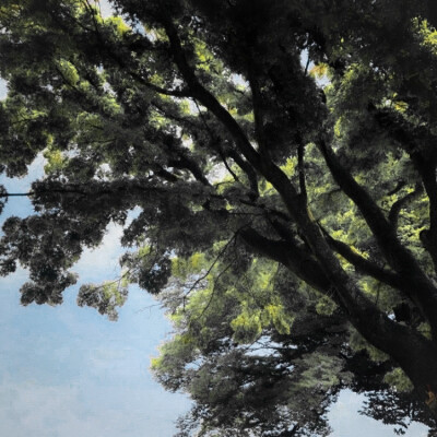 抱图收藏单图
原蒙蒙