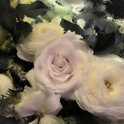 抱图收藏单图
原蒙蒙