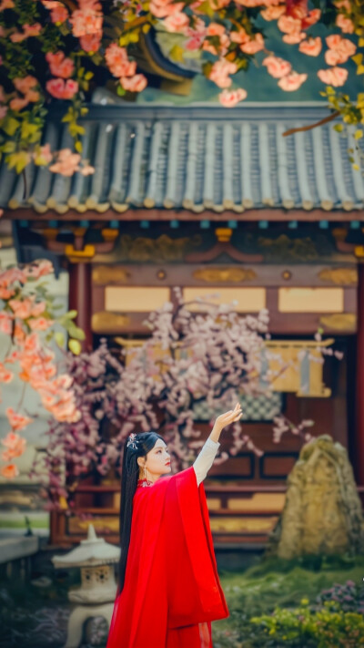 玉骨遥