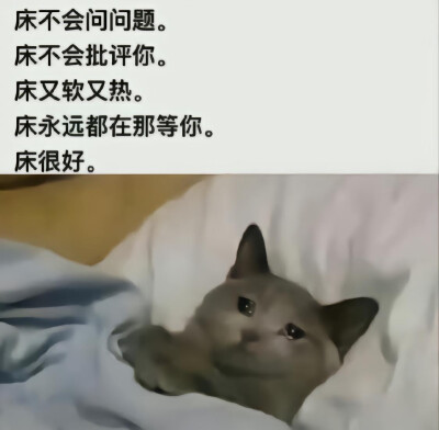 发疯表情包