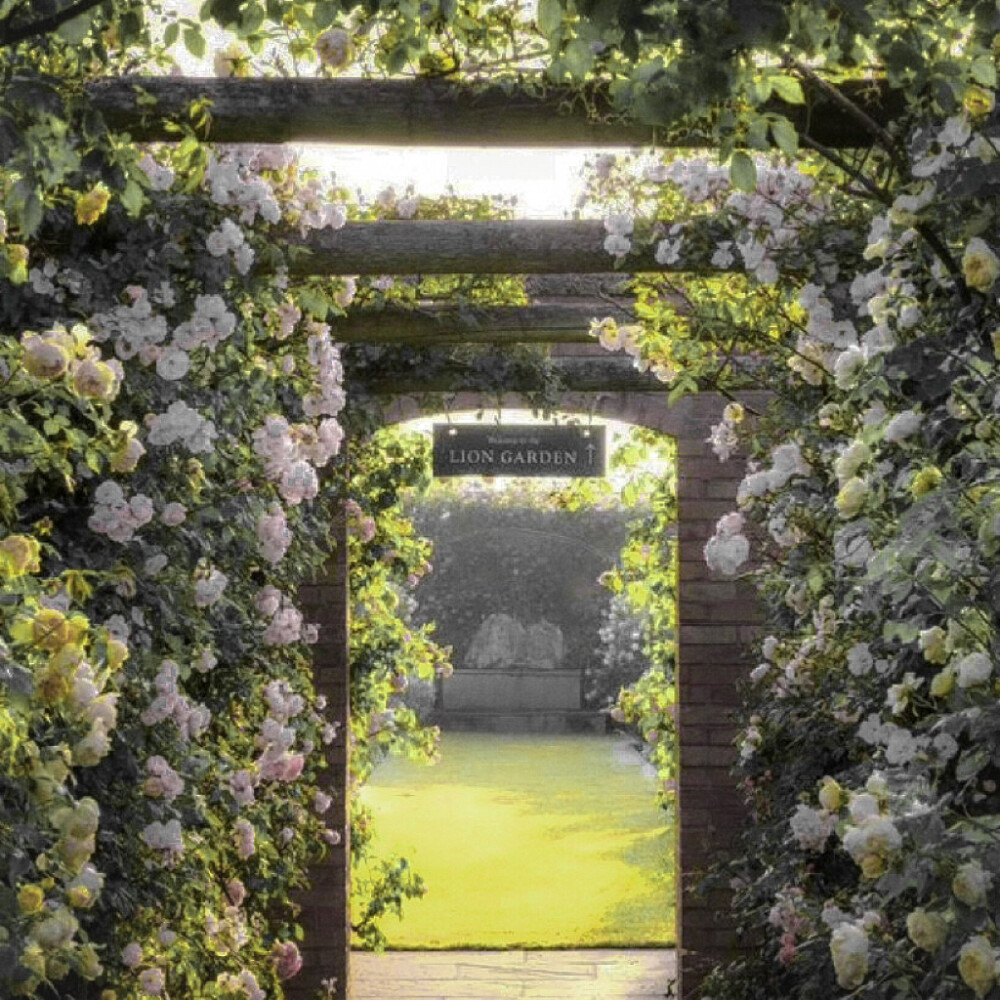 抱图收藏单图
原蒙蒙