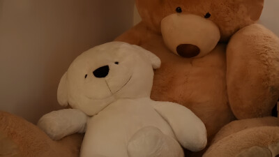 ♡: ＋OMORROW × ＋OGETHER