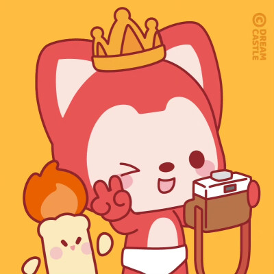 阿狸