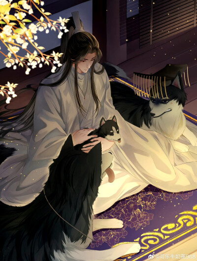 二哈和他的白猫师尊