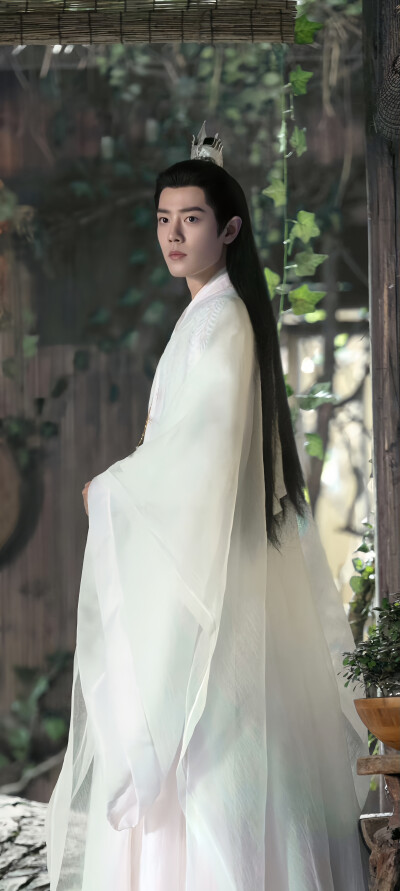 玉骨遥～肖战