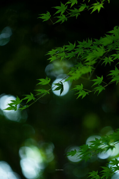 立秋时节夏意仍在群山流淌
摄影：@大圣不空