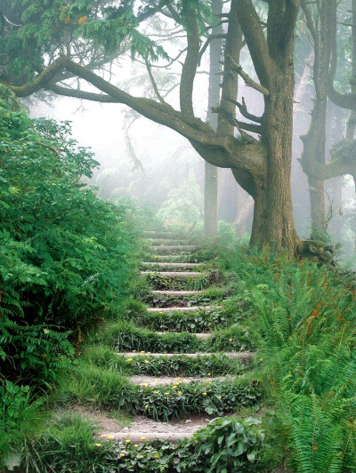 哥特风魔幻背景