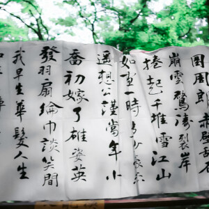《Peter Pan Was Right》＊绿野仙踪‘’xxx‘’
