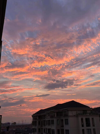 风景照