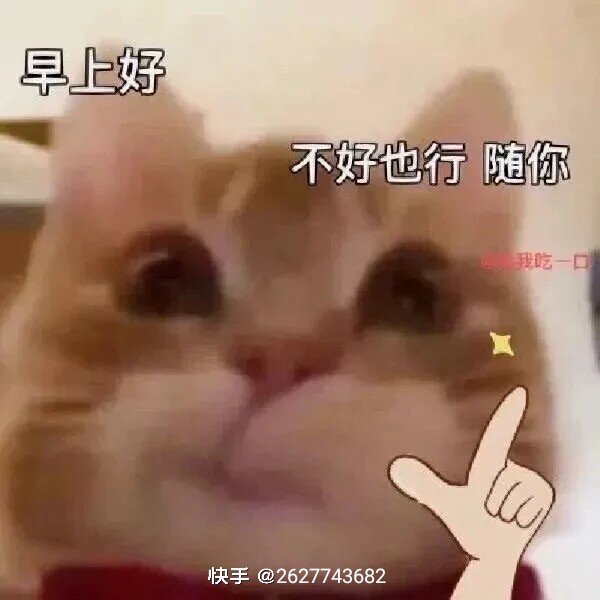 歪头小猫表情包