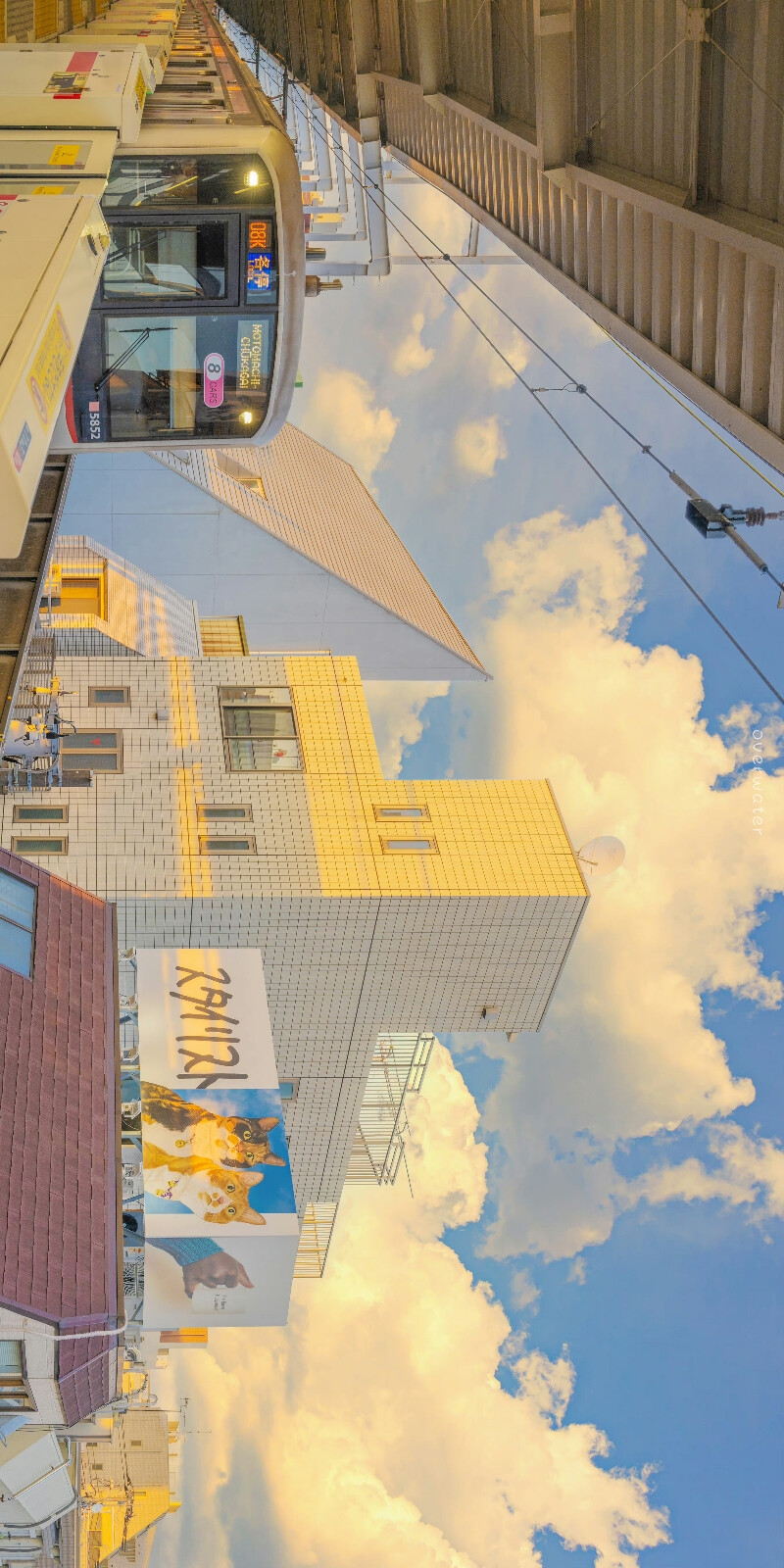 夏末的风，可以吹散烦恼