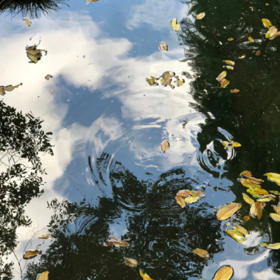 风景照