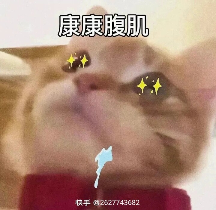 歪头小猫表情包