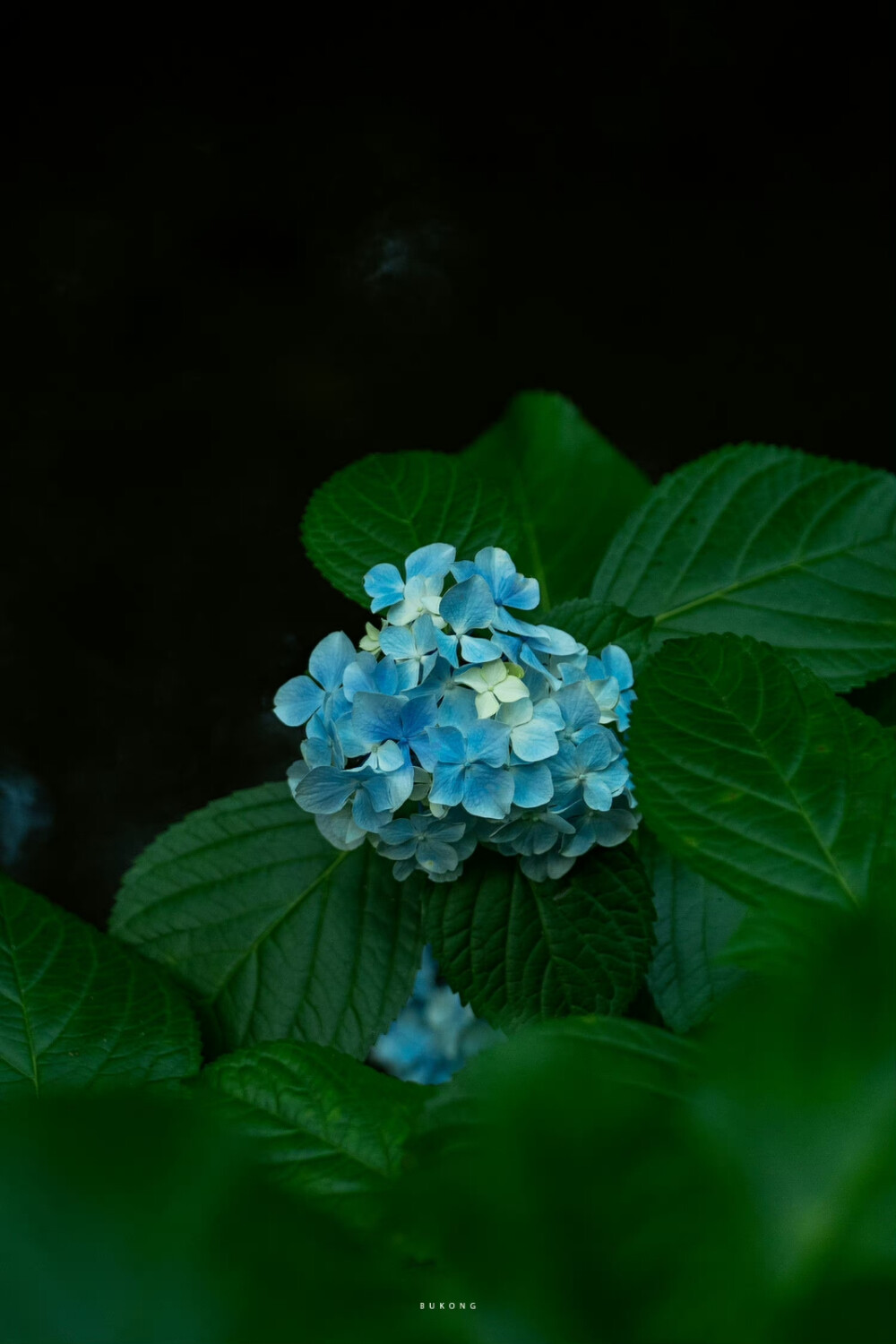 立秋时节夏意仍在群山流淌
摄影：@大圣不空