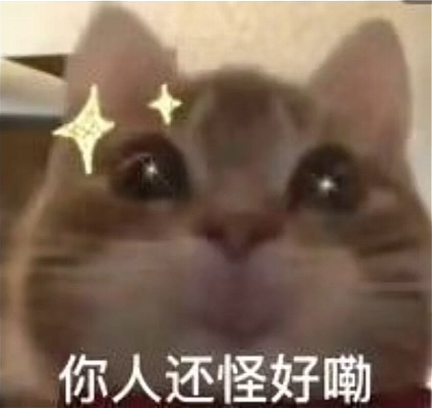 猫猫头表情包