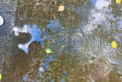 日复一日年复一年