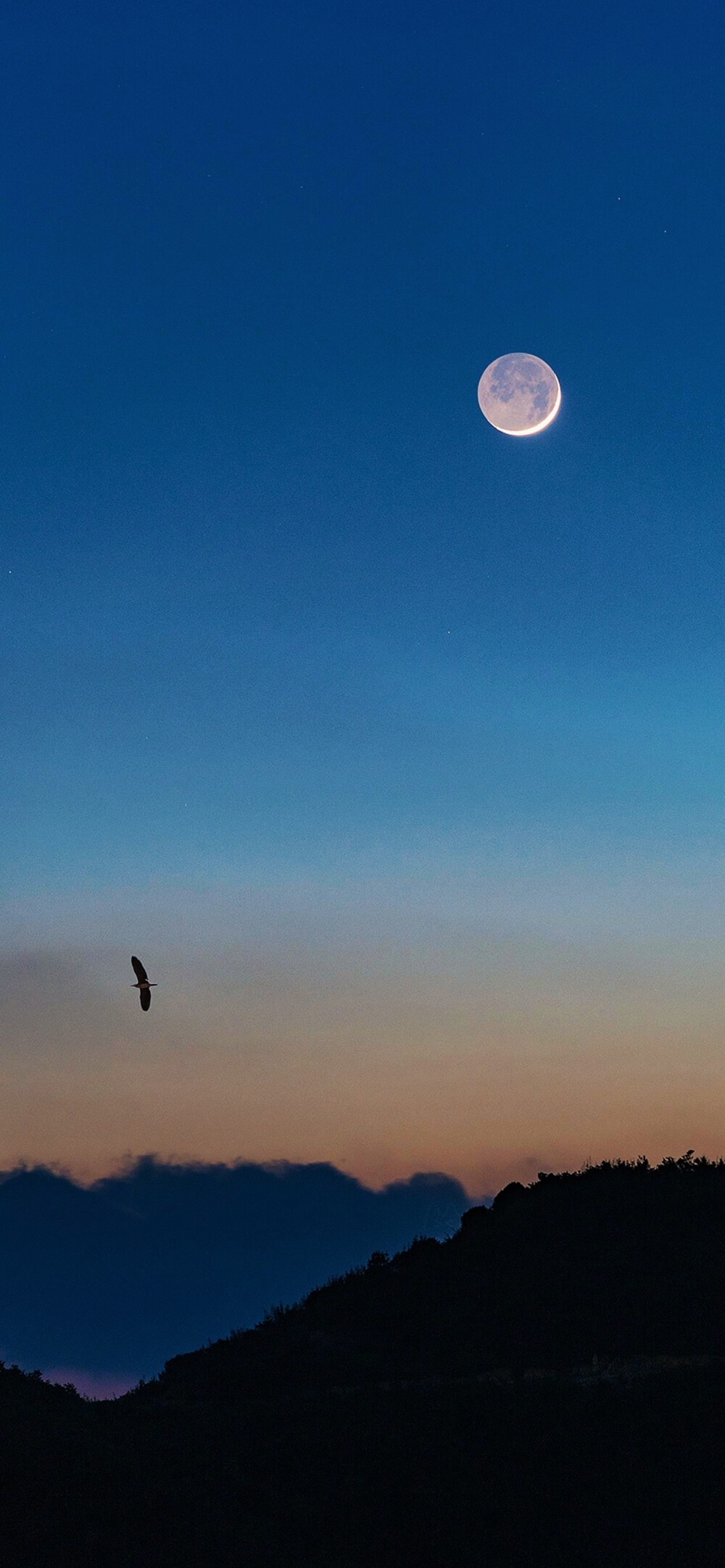 风景壁纸