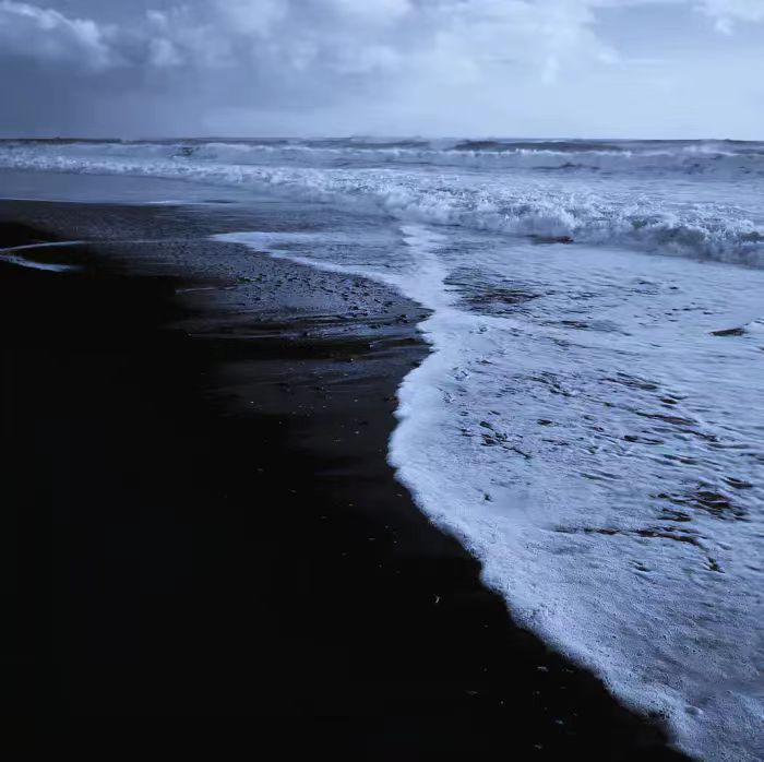 蓝水母La méduse bleue不知名海岸线*