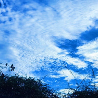 蓝蓝的天空白云飘 ☁️☁️☁️