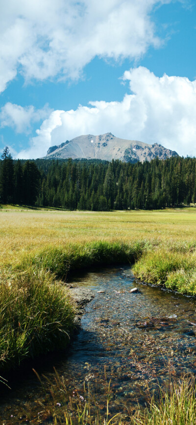 风景