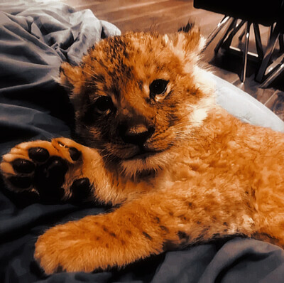 
*중독（Overdose）