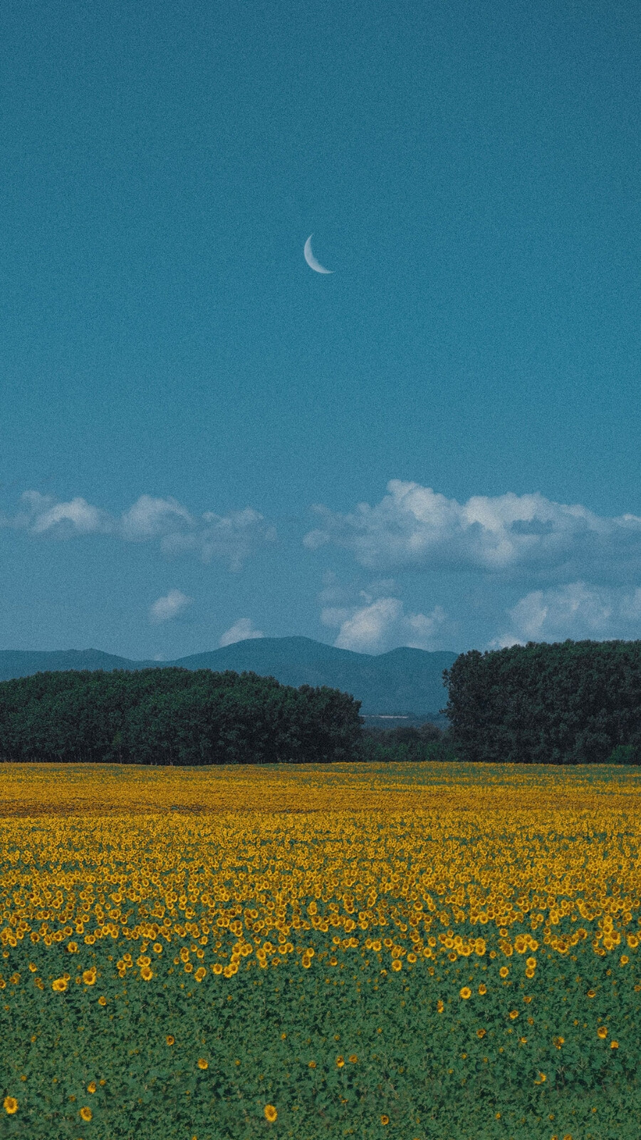 风景壁纸