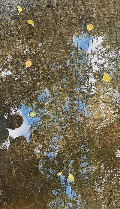 日复一日年复一年