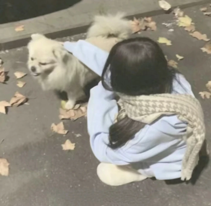 真人头像 女