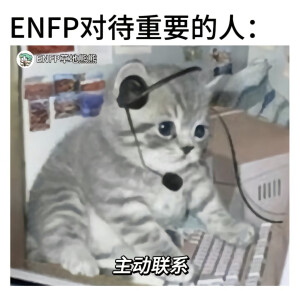 默认专辑
