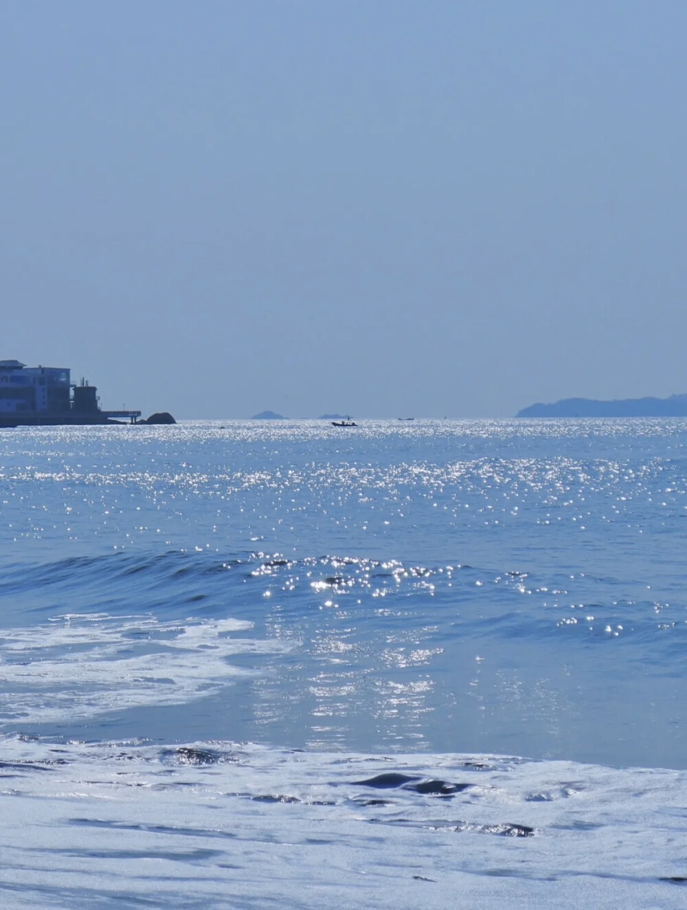 候鸟飞不过沧海