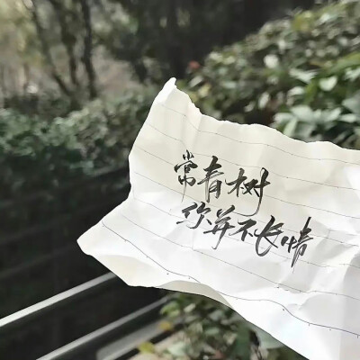 文字背景